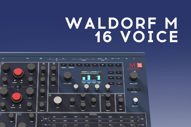 waldorf m 16 voice