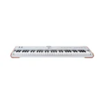 Arturia AstroLab 61 Silver