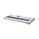 Arturia AstroLab 61 Silver