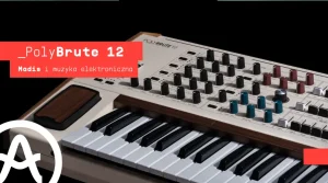 Arturia PolyBrute 12 i Madis